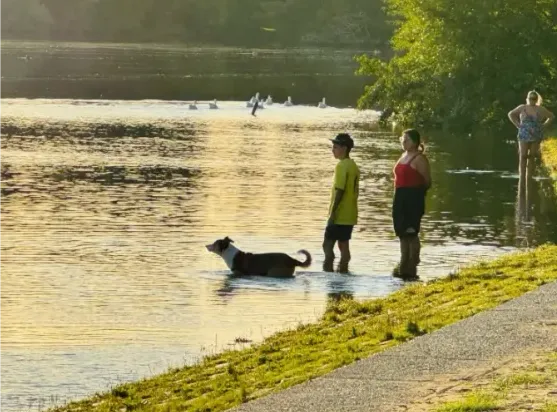 PATAGONES COSTANERA RIO