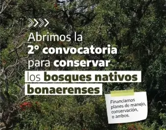 PLAN DE MANEJO DE BOSQUES