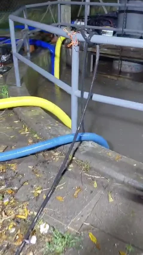 WhatsApp Video 2026-03-31 at 12.01.49 AM