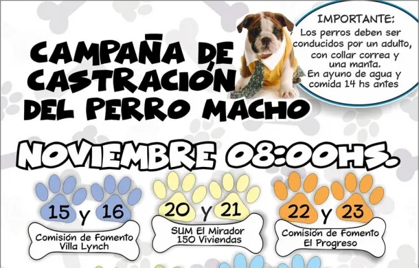 campaña castracion perros