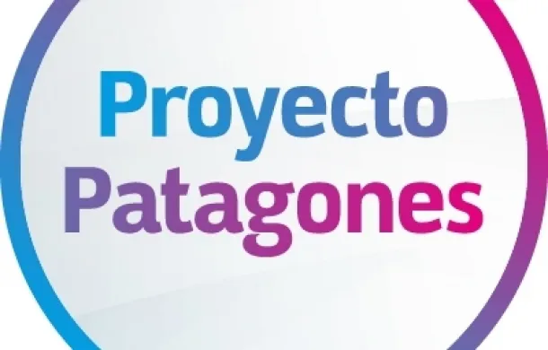 proyecto patagones