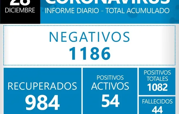 covid-19 coronavirus patagones informe parte diario oficial