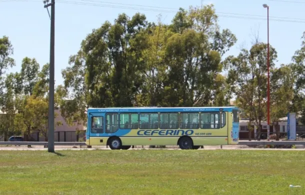 ceferino colectivo