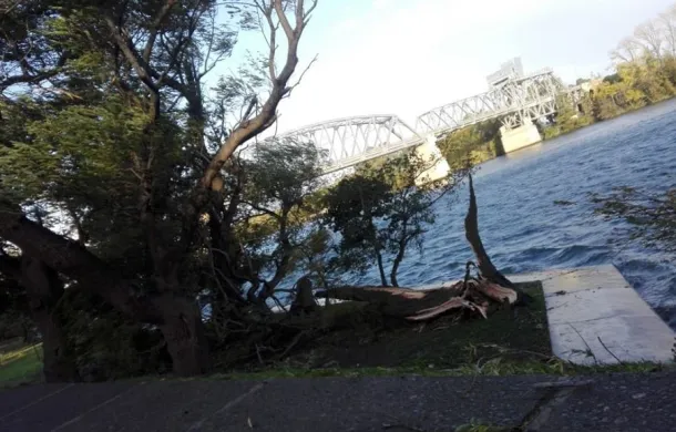 temporal patagones
