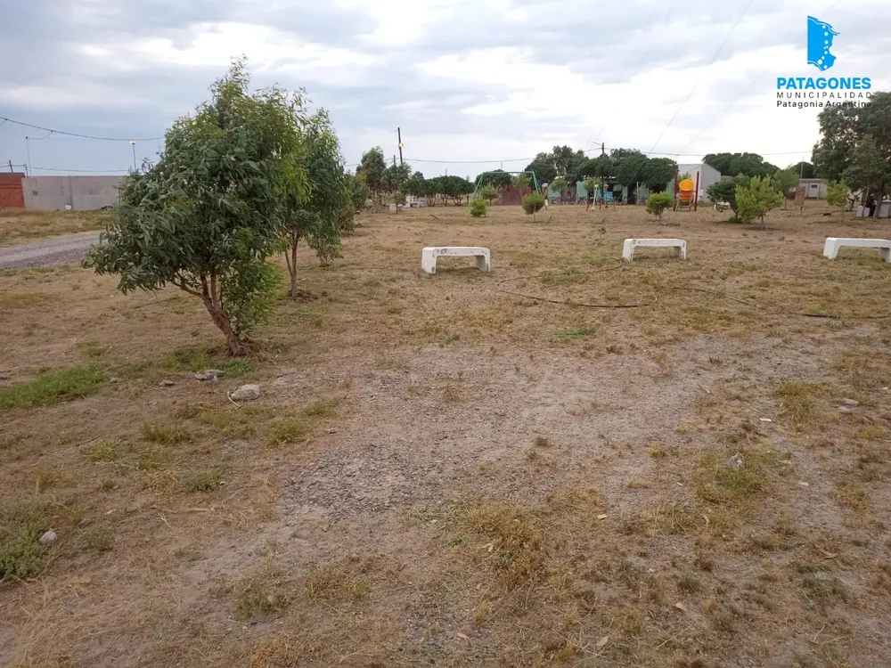 PLAZA