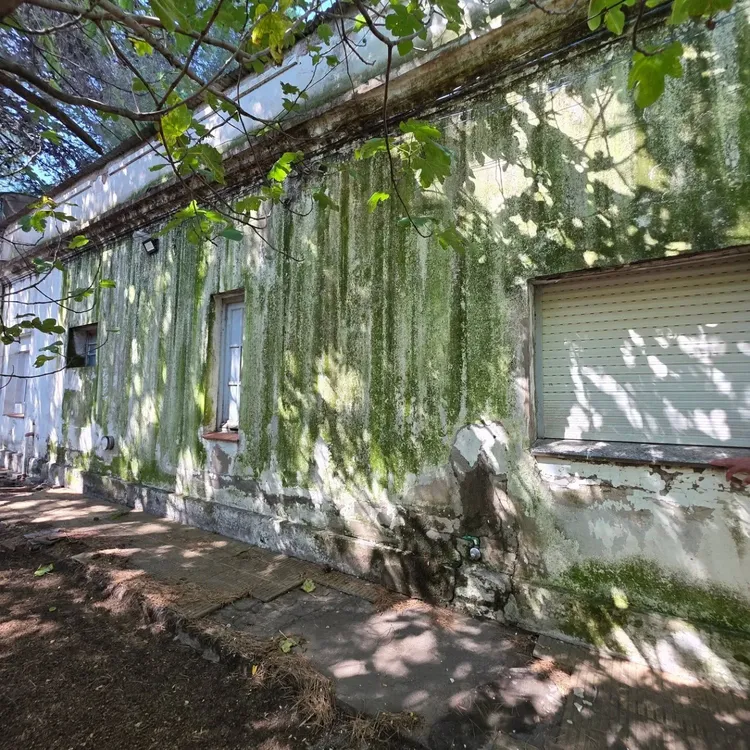 SALA DE SALUD PRADERE