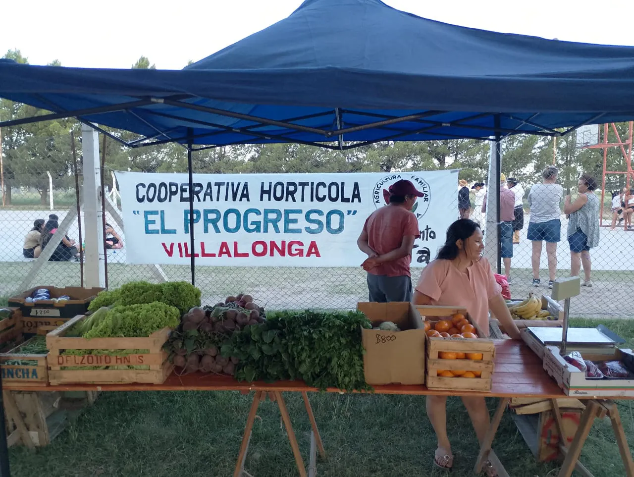 2462996e-4e03-45d0-9ea0-b8c7496f36ef