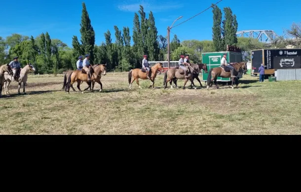 caballos exposicion