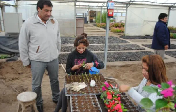 vivero