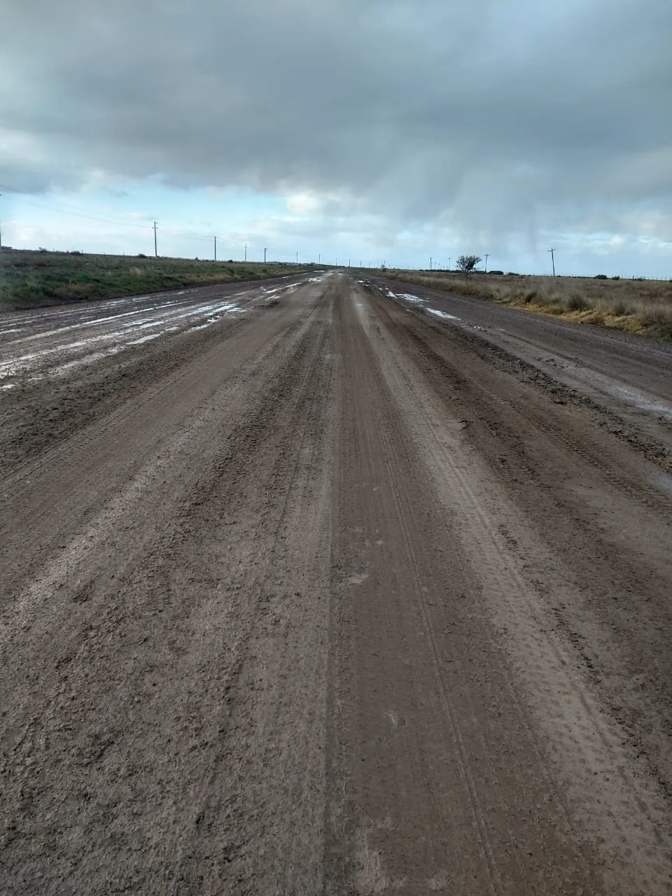 camino