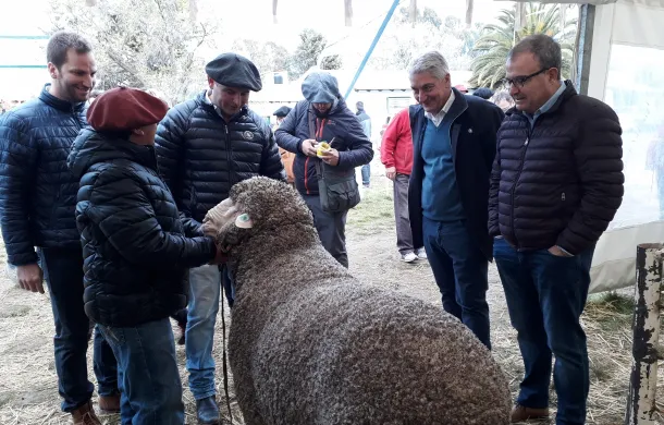 zara la rural