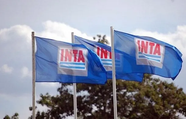 inta