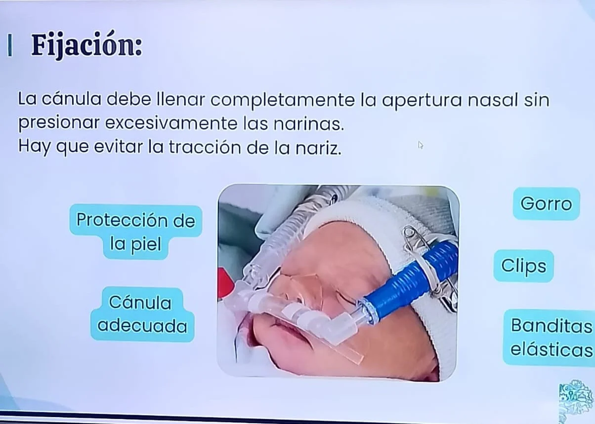 WhatsApp Image 2026-03-25 at 8.16.49 PM (1)