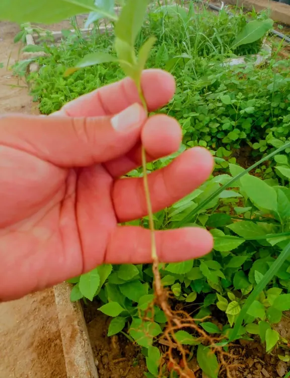 6a8e334f-074d-41e4-97ac-f9777c16f979