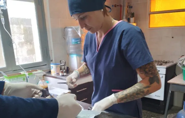 evelyn kohls castraciones