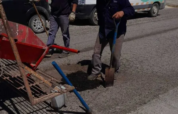 bacheo