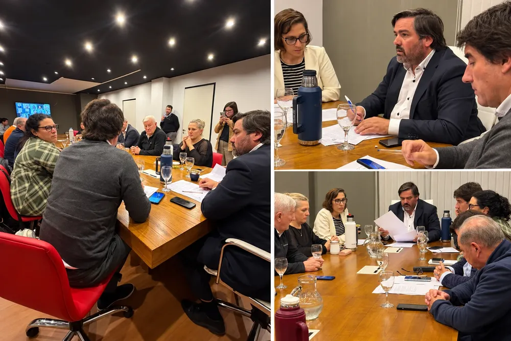 Collage de reunión en sala de juntas
