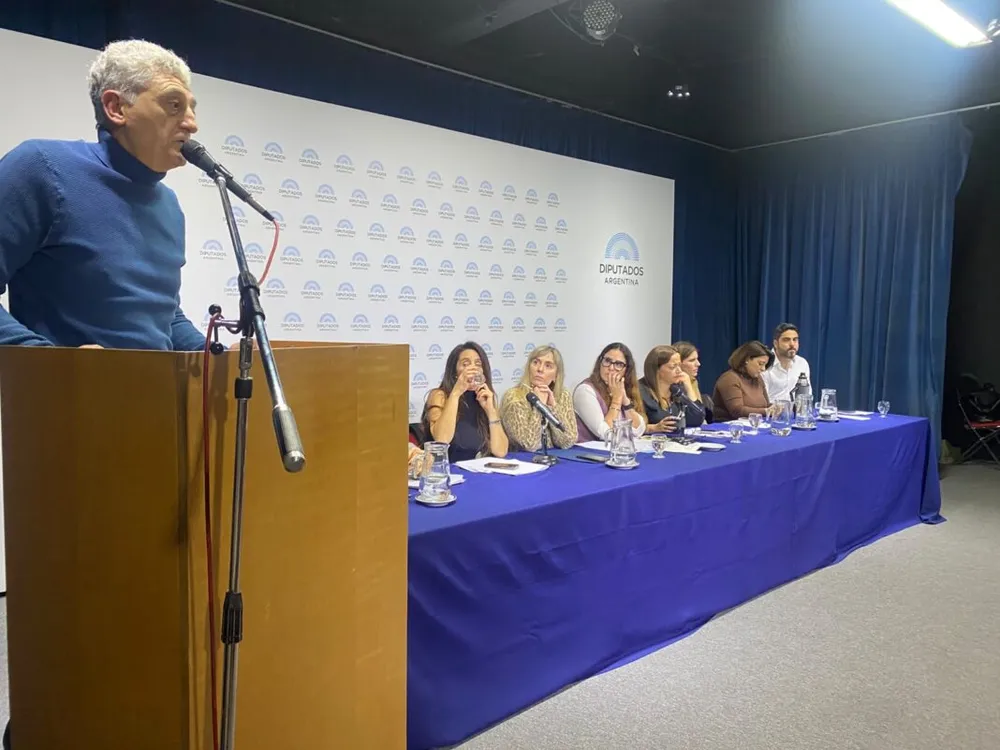 diputados-zona-fria