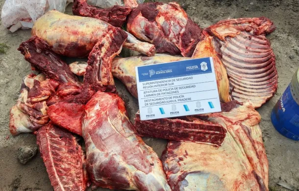 caballo faena clandestina