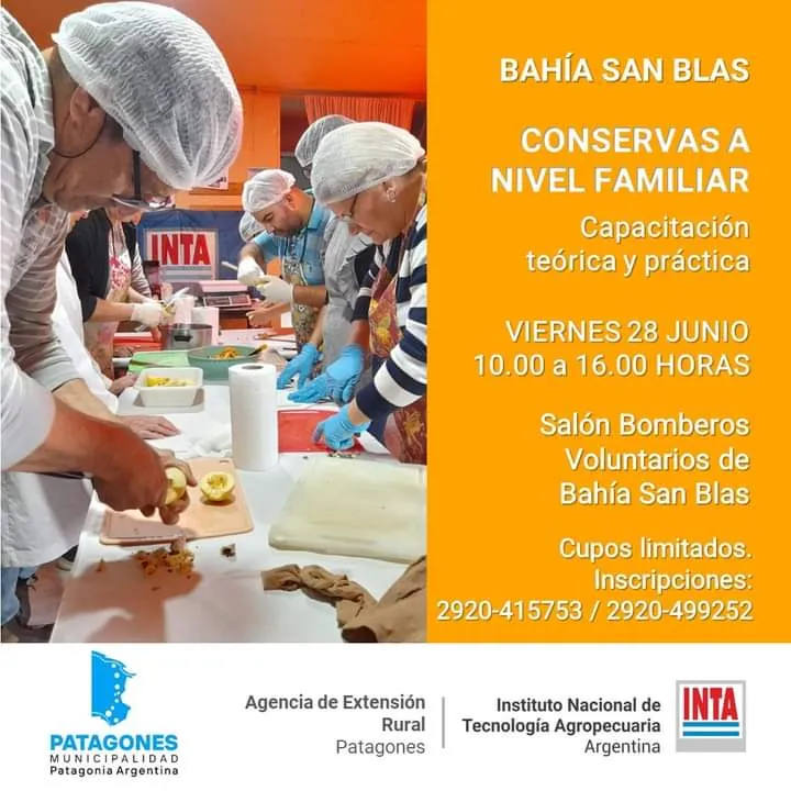 conservas familiares