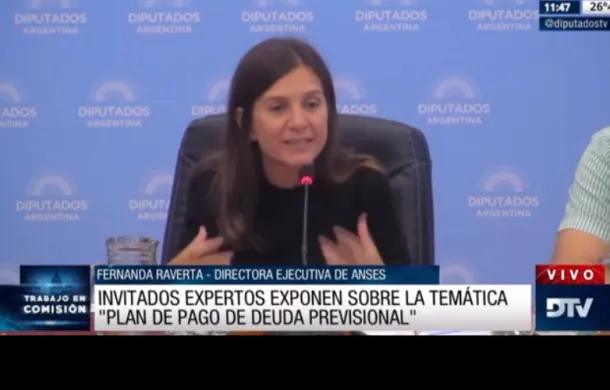 camara de diputados fernanda raverta
