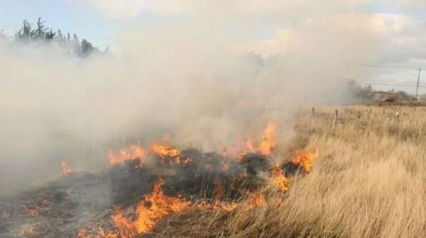 INCENDIO PASTIZALES