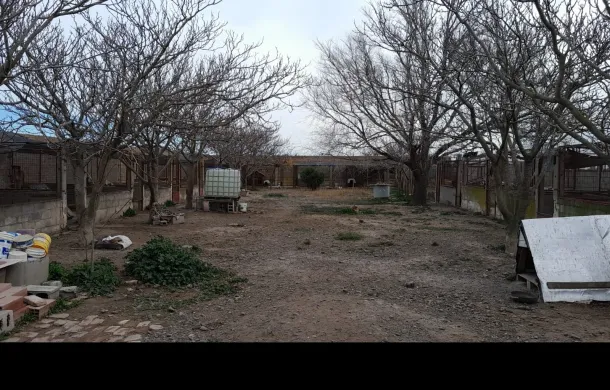 apda refugio