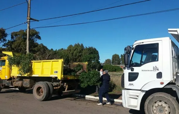 servicios temporal