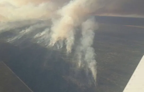 incendios patagones
