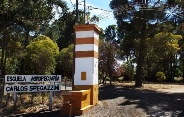 spegazzini