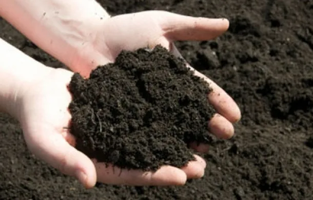 compost