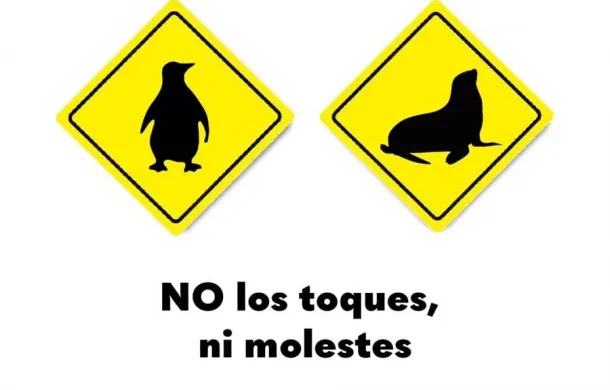pinguinos