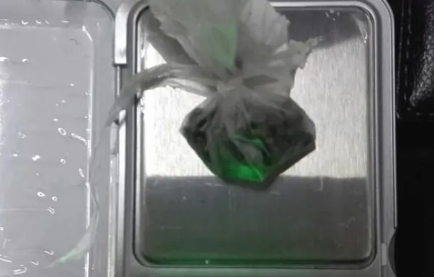 operativo villalonga