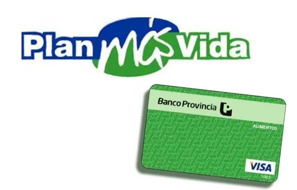 mas vida