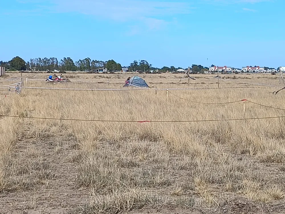 imagen_2026-02-26_112012868