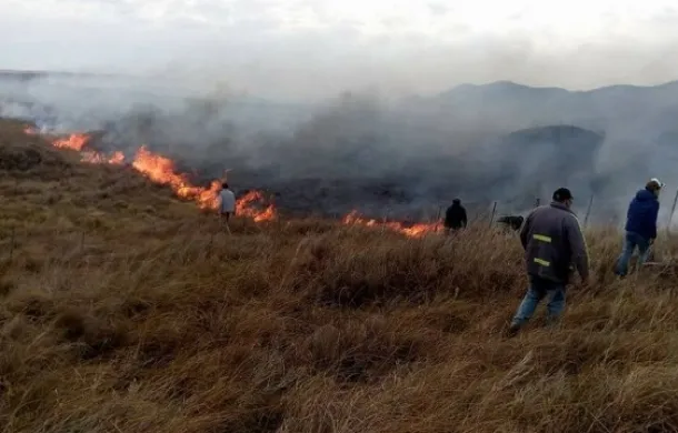 incendios forestales