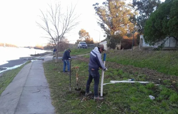 embellecimiento costanera