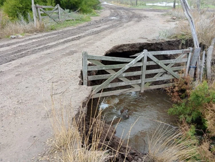 WhatsApp Image 2026-04-07 at 8.03.22 AM