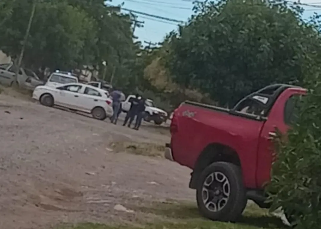 VILLA LYNCH DETENIDO AUTO