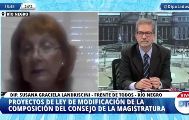 graciela landriscini diputados