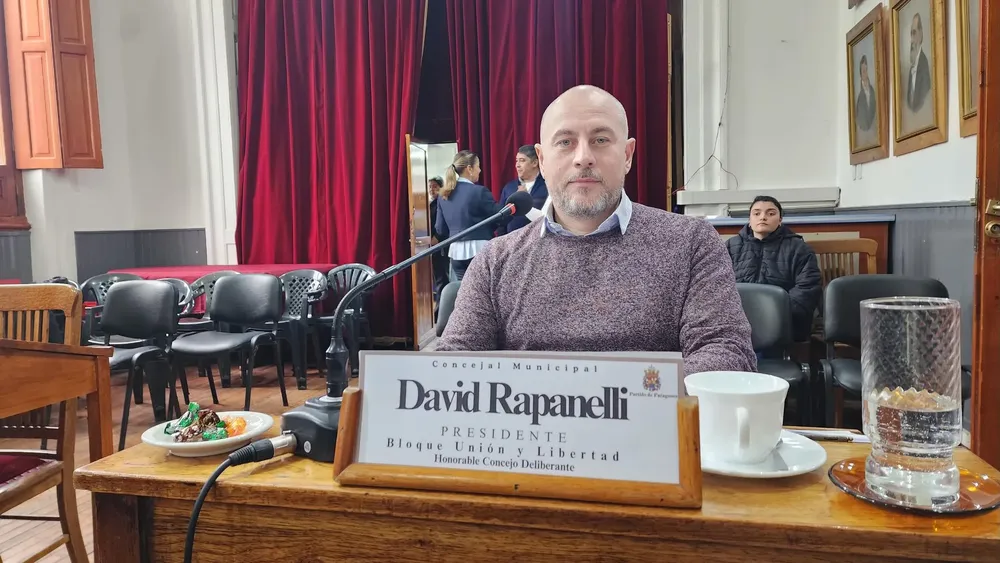 DAVID RAPANELLI