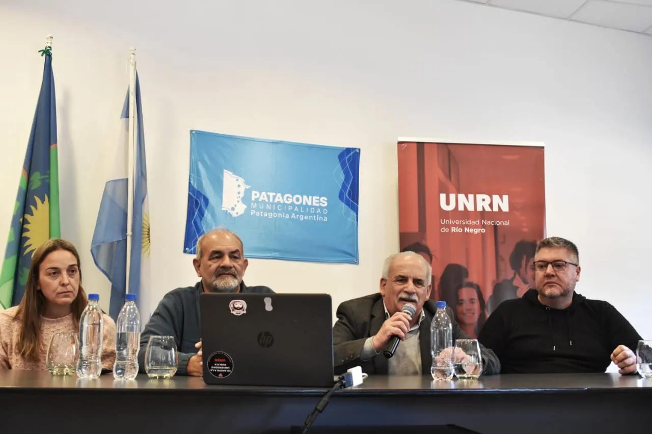 programa puentes