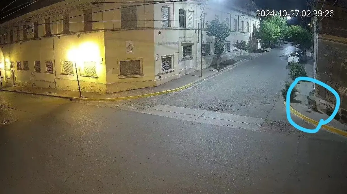 PUMA EN EL CENTRO DE PATAGONES