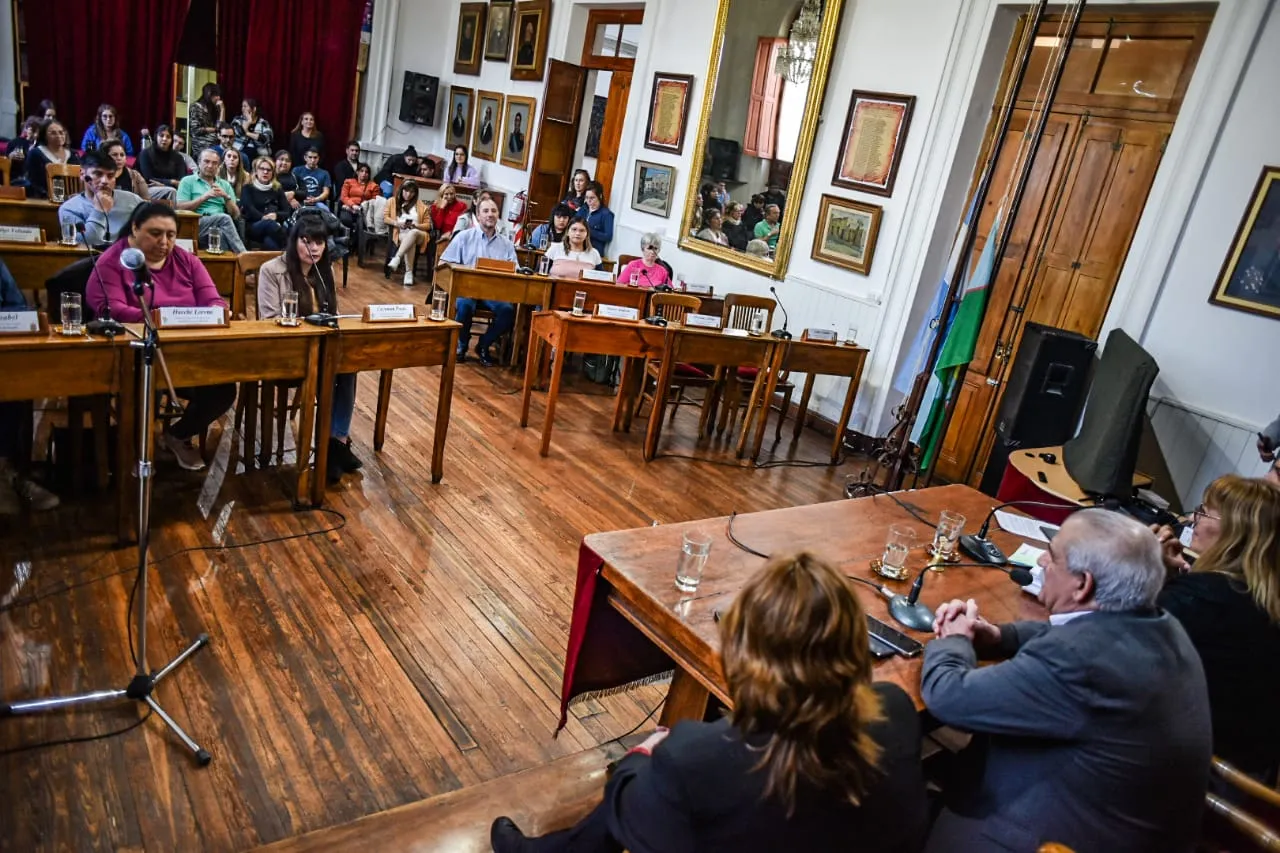 parlamento juvenil mercosur