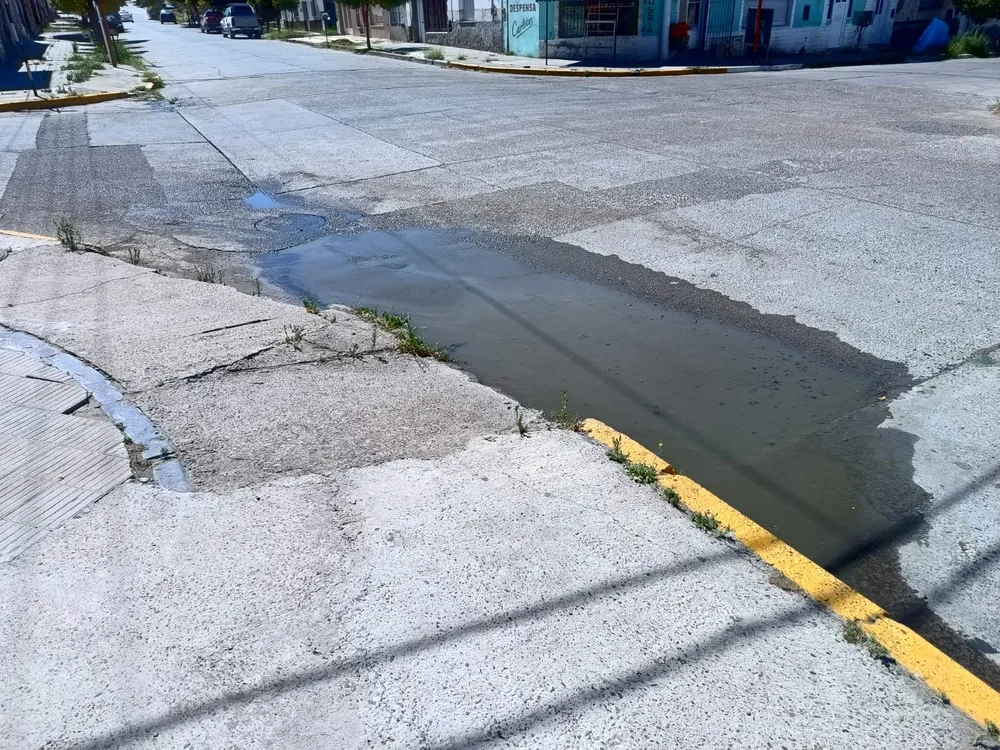 imagen_2026-02-20_140556800