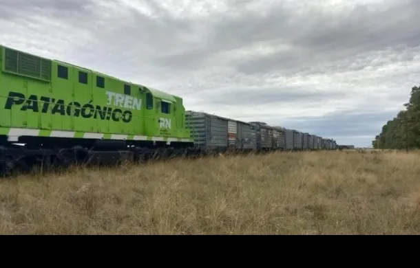 tren patagonico carga