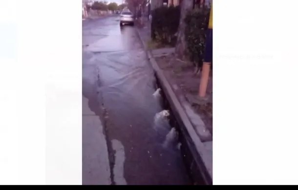 agua perdida