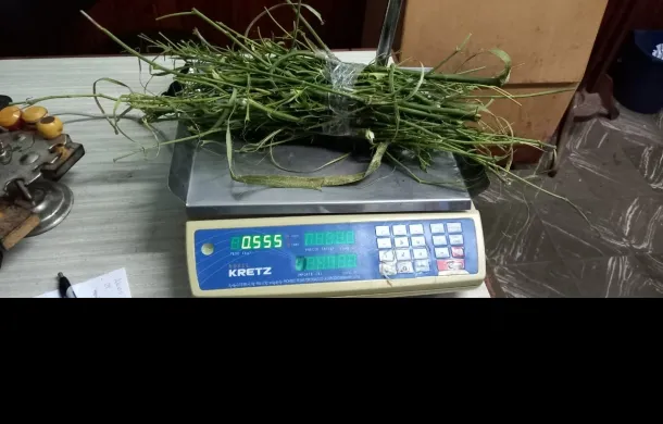marihuana