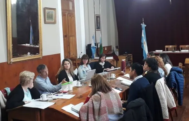 consejo discapacidad