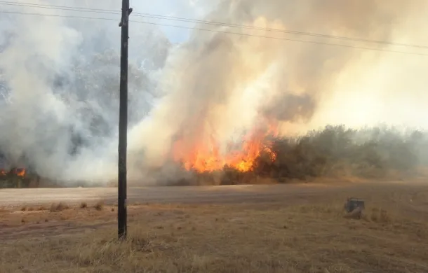 incendio campo